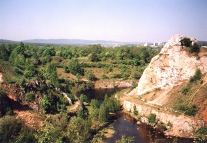 Rezerwat Kadzielnia w Kielcach