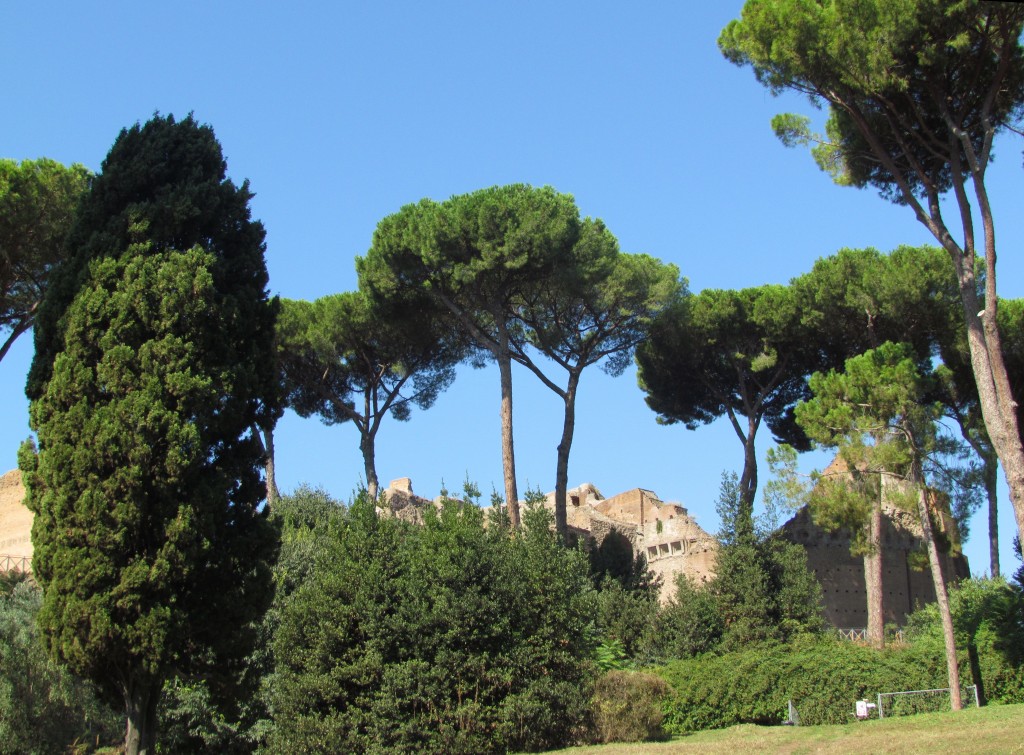 Przyroda na Palatynie w Rzymie
