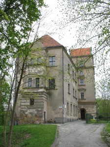 Stary Zamek w Płotach
