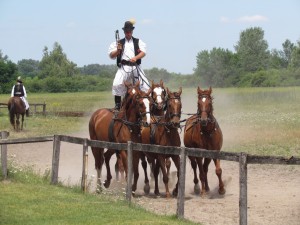 Pokazy jazdy konnej w Bugac Puszta na Węgrzech