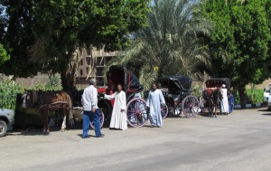 Przejażdżka dorożkami po Luxorze w Egipcie