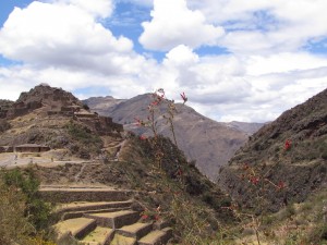 Ruiny inkaskiego miasta Pisaq