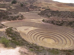 Inkaskie laboratorium rolnicze w Moray