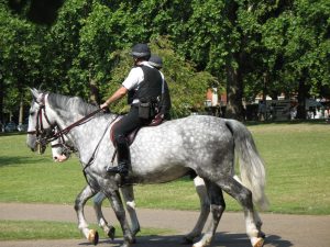 Konna Policja w londyńskim St James's Park