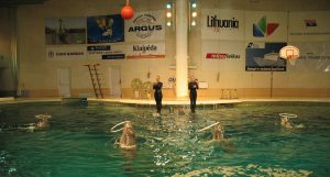 Pokaz w delfinarium w Muzeum Morza w Kłajpedzie na Litwie