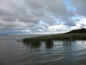 Jezioro Łebsko