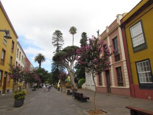 Ulica San Agustin w La Lagunie na Teneryfie