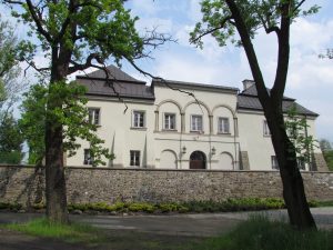 Zamek w Czańcu