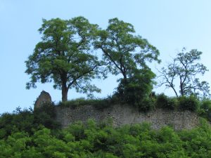 Ruiny zamku w Podgrodziu