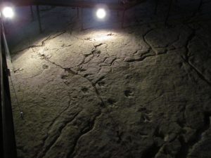 Ślady dinozaurów w Rezerwacie Sataplia