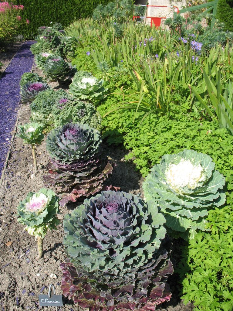 Ogród warzywny na Zamku Cheverny