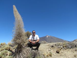 Żmijowiec na tle Pico del Teide w kalderze Las Cañadas na Teneryfie