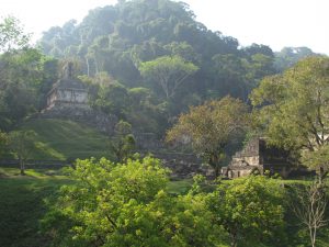 Miasto Majów - Palenque