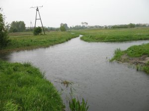 Bifurkacja, czyli skrzyżowanie rzek w Wągrowcu