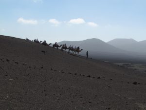 Ruta de los Camellos w Parku Narodowym Timanfaya na Lanzarote