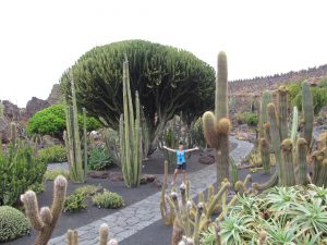 Jardin de Cactus, czyli ogród kaktusów w Guatiza na Lanzarote