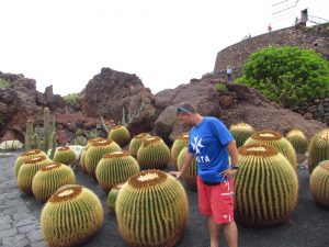 Trony teściowej w Jardin de Cactus w Guatiza na Lanzarote