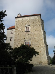 Zamek w Wojciechowie