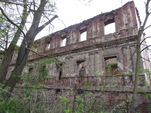 Ruiny zamku w Otyniu