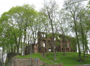 Ruiny zamku w Dobrej