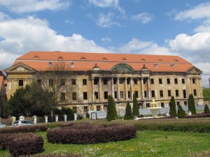 Pałac Promnitzów w Żarach