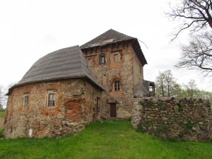 Zamek w Witkowie