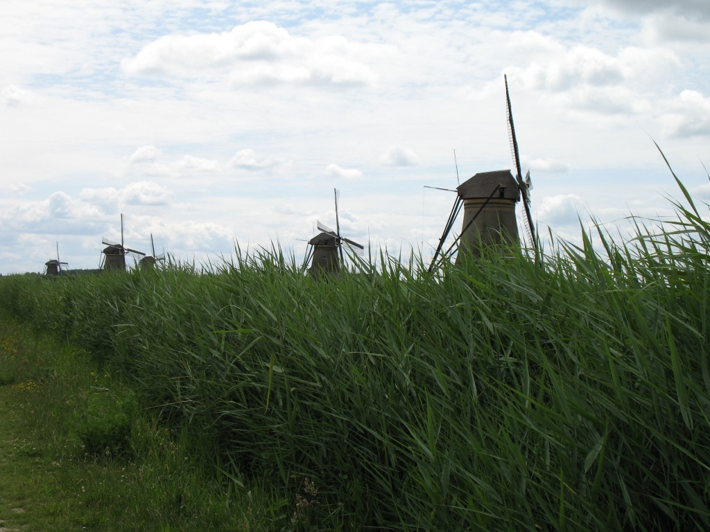 Wiatraki w Kinderdijk w Holandii