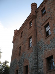 Zamek w Rynie