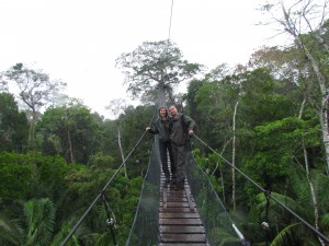 Canopy walk, czyli spacer mostkami zawieszonymi wśród koron drzew w dżungli