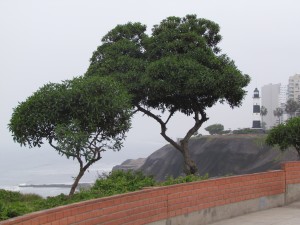 Lima-Miraflores, widok na Ocean Spokojny