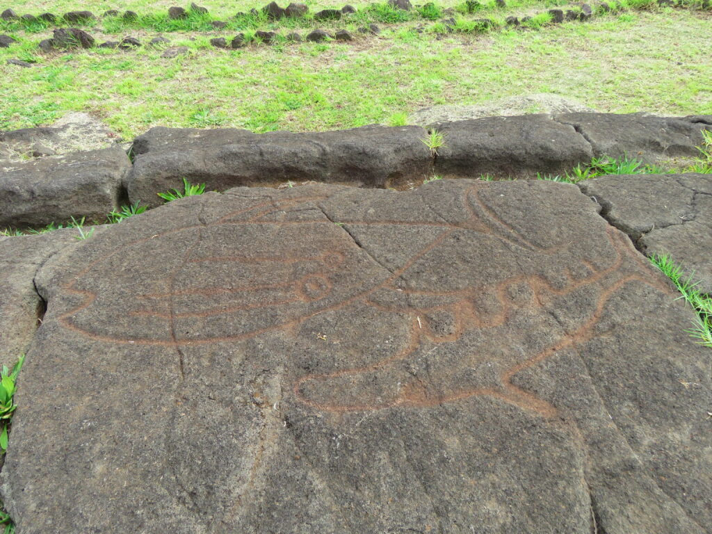 Petroglify przedstawiające ryby w Papa Vaka na Rapa Nui
